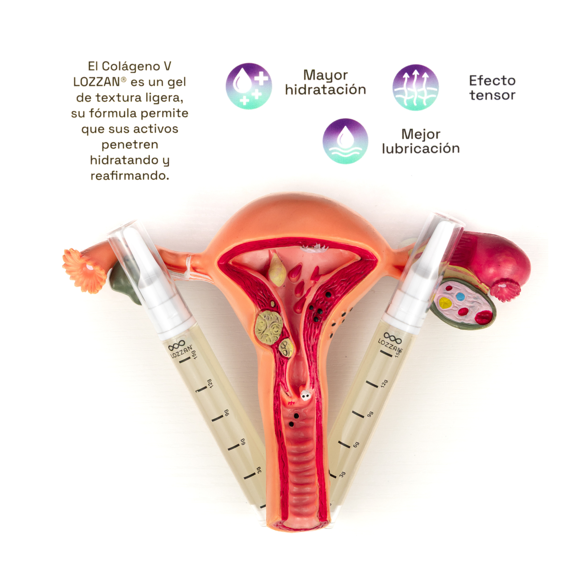 Colágeno Vaginal (gel LOZZAN)